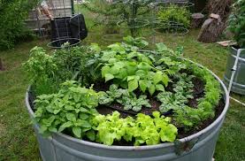 How long does a galvanized steel raised bed last? Raised Bed Garden From A Z What To Know Joe Gardener