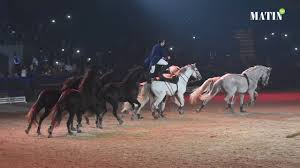 Public · hosted by salon du cheval de paris 2021. Salon Du Cheval D El Jadida Des Shows Exceptionnels Pour Animer Les Spectacles De Nuit Youtube