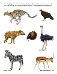 Learn About Food Webs And African Grasslands From Exploringnature Org Food Web Animal Outline African Animals
