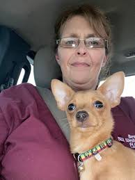 Why is my chihuahua biting my husband at night?