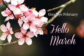 Check spelling or type a new query. 100 Best Happy New Month Messages Quotes Wishes For Friends Him Her