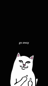 Any chance on any other ops? Divertida Nuevo Fondo De Telefono Ipad Papel Tapiz 48 Ideas Funny Iphone Wallpaper Ripndip Wallpaper Funny Phone Wallpaper