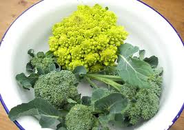 Der Romanesco Anbau Italienischer Kohl Gemusegarten Anlegen Anbau Pflanzen