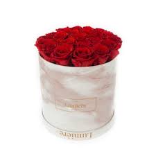 See discounts for mcallen, tx hotels & motels. Fleurs Lumiere 1713 N 23rd St Ste 50 Mcallen Tx Florists Mapquest