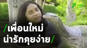 หลังจากที่ แน็ก ชาลี ได้รับเชิญไปให้ดูการต่อยมวยในรายการ 10 fight 10 ที่กล้องได้จับภาพ แน็ก หน้าไม่มีอารมณ์ร่วมกับการชกไฟต์นั้นเลย จากนั้นทำให้. à¹à¸™ à¸ à¸Šà¸²à¸¥ à¸Šà¸¡à¹€à¸›à¸£à¸²à¸°à¸• à¸§à¹€à¸‡ à¸™à¸• à¸§à¸—à¸­à¸‡à¸™ à¸²à¸£ à¸à¸„ à¸¢à¸‡ à¸²à¸¢