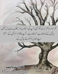 Absolutely Right Quotes From Novels Poetry Words Namal Novel