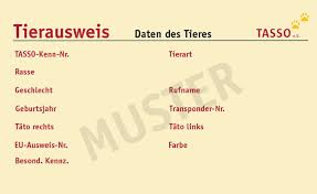 Auf der suche nach einer möglichkeit eine neue patientenverfügung zu erstellen, kann man 2019 auf das angebot des humanistischen verbands deutschlands (hvd) tipps: Notfallausweis Zum Ausdrucken Kostenlos Notfallkarte Mit Personlichen Daten Camperstyle De Unfalle Gehoren Zu Den Unvor News List
