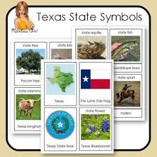 Texas State Symbol Cards State Symbols Texas Symbols Texas Theme