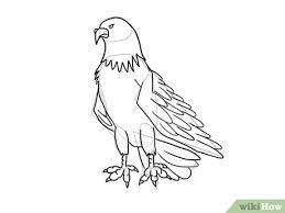 Sketsa gambar burung elang ini tentunya sangat disukai oleh anda yang mempunyai anak anak kecil di rumah. 4 Cara Untuk Menggambar Elang Wikihow