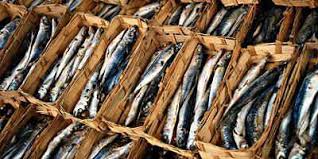 Sentra pusat idustri kecil penghasil olahan ikan pindang di daerah lamongan, jember, banyuwangi, situbondo dan trenggalek. Heru Cahyono A Twitteren Pindang Pindang Ini Klo Disebut Biar Keren Sih Benernya Salted Boiled Fish Paling Umum Dibuat Dari Beberapa Jenis Ikan Yang Cocok Untuk Dipindang Layang Tongkol