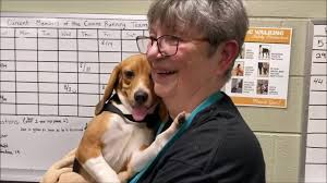 Oregon Humane Society: Second Chance Program