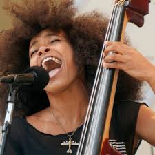 Stream Autumn leaves