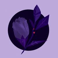View all subcategories finding gifs. Anime Purple Eyes Gifs Get The Best Gif On Giphy