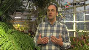Alexandre antonelli is a peerj user. Alexandre Antonelli University Of Gothenburg Youtube