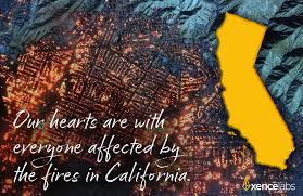 Hannah Imperial Cannon (@hannahxencelabs) • Instagram photos and videos