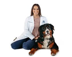 In fact, we can provide almost all services that a regular veterinary hospital can, without you having to leave your house. Ejwzsj4105dt2m