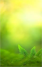 Trendy Flowers Yellow Green Nature Ideas Green Nature Green Aesthetic Nature Pictures Symptoms can develop anywhere from 5 to 28 days after contracting the. trendy flowers yellow green nature