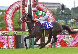 Takarazuka kinen the takarazuka kinen (宝塚記念) is a grade i flat horse race. å®å¡šè¨˜å¿µ å…¥å ´ã¯å¤§å¹…æ¸›ã‚‚å£²ã‚Šä¸Šã'ã‚¢ãƒƒãƒ— ç«¶é¦¬ãƒ‹ãƒ¥ãƒ¼ã‚¹ Netkeiba Com