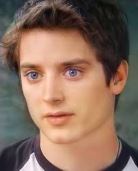 Which actor would've been the perfect choice to play Spider Man/Peter  Parker if Tobey Maguire wasn't casted?