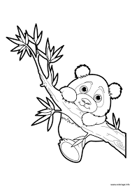 coloriage panda 17 dessin a imprimer animaux de franz von hahn