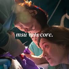 Dr. Jane Manfredi—passionate educator, researcher, and dressage  competitor—has been named the new Mary Anne McPhail Dressage Chair in  Equine Sports Medicine. 🐎⁠ ⁠ As the McPhail Chair, Manfredi plans to  engage the