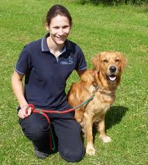The americans with disabilities act is a federal law that clearly states service dogs are allowed to accompany their handler in public places by simply stating their dog is a service dog. How To Become A Dog Trainer