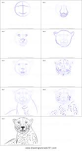 How To Draw A Cheetah S Face Printable Step By Step Drawing Sheet Drawingtutorials101 Com Cheetah Drawing Hummingbird Art Drawing Owls Drawing