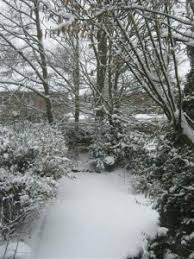 Meer sneeuw de voorspelling was al dat op plekken in het zuiden van de provincie donderdagochtend sneeuw kon vallen. Sneeuw In Limburg Geeft Heuvels En Bossen Een Ander Aanzicht