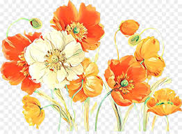 Ver más ideas sobre png, disenos de unas, acuarela floral. Flor Naranja Las Flores Cortadas Imagen Png Imagen Transparente Descarga Gratuita