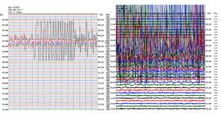 Fordham Seismic Observatory Mexican Earthquake Off The Chart