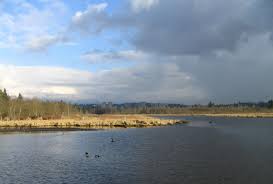 Burnaby Lake Regional Park Wikipedia