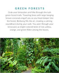 Image result for Priva curtisiae