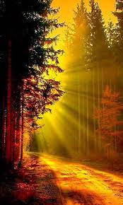 After a mid morning nap, you take the time to upload your pictures. Pin By Susan Kisella On Sun Rise Sunset Nature Photography Beautiful Nature Landscape Wallpaper