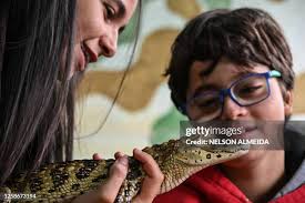 100 Nelson Araujo Stock Photos, High-Res Pictures, and Images