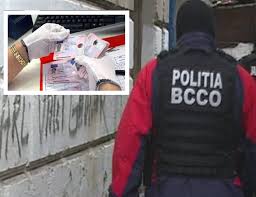Puteţi accesa rectifică/completează pentru a adăuga produse/servicii. Permise De Conducere False La PreÈul De 3000 De Euro ReÈea DestructuratÄ Valahia Media