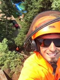 Making the cut: Husband and wife team tackle trees together