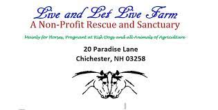 Please visit our adoptions page to view our available animals and follow the steps detailed there. Pets For Adoption At Live And Let Live Farm In Chichester Nh Petfinder