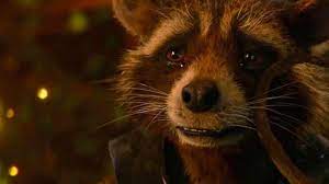 Rocket raccoon and baby groot have their own miniatures. In Guardians Of The Galaxy Vol 3 Wird Ein Charakter Sterben Wird Es Rocket Raccoon Treffen Superhelden News