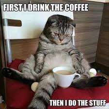 47 Funny Coffee Memes That Will Have You Laughing Funny Animal Pictures Funny Good Morning Memes Cat Memes