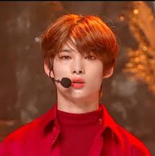 Niki Enhypen My Land Korean Idol People