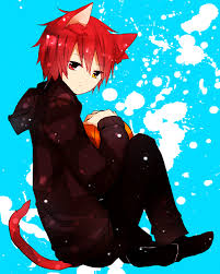 Akashi Seijuurou Anime Cat Boy Anime Neko Anime Guys