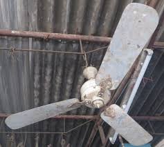 48 Ceiling Fan 3 Aluminium Blades Heavy Body Motor Iew Logo Ranjeet Brand India Ranjit Classicold Antique Fans Ceiling Fan Antique Tools