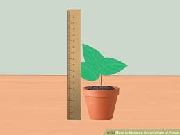 4 Ways To Measure Growth Rate Of Plants Wikihow