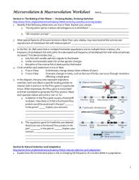 Lesson overview human chromosomes karyotypes the remaining 44 human chromosomes are known as autosomes. 4226 Biology Units 4 5 Erg Pdf Learn Excelsior