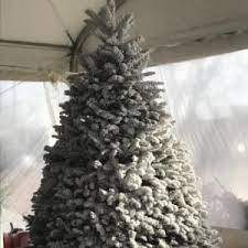 There's standard pricing and vip options, as well as different tiers. Santa S Christmas Trees