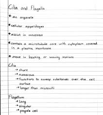 Cilia And Flagella Medical School Studying Biology Notes Emt Study