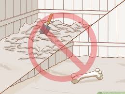 Walk your dog at least twice a day. How To Stop A Dog From Digging 11 Steps With Pictures Wikihow Pet