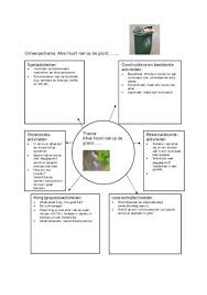Ontwerpschema Afval Hoort Niet Op De Grond Juf Janneke Thema Mindmap Recycleren