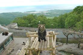 Noboribetsu BearPark【Official site】 Come meet the bears & Ainu culture