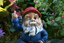 Pin On Garden